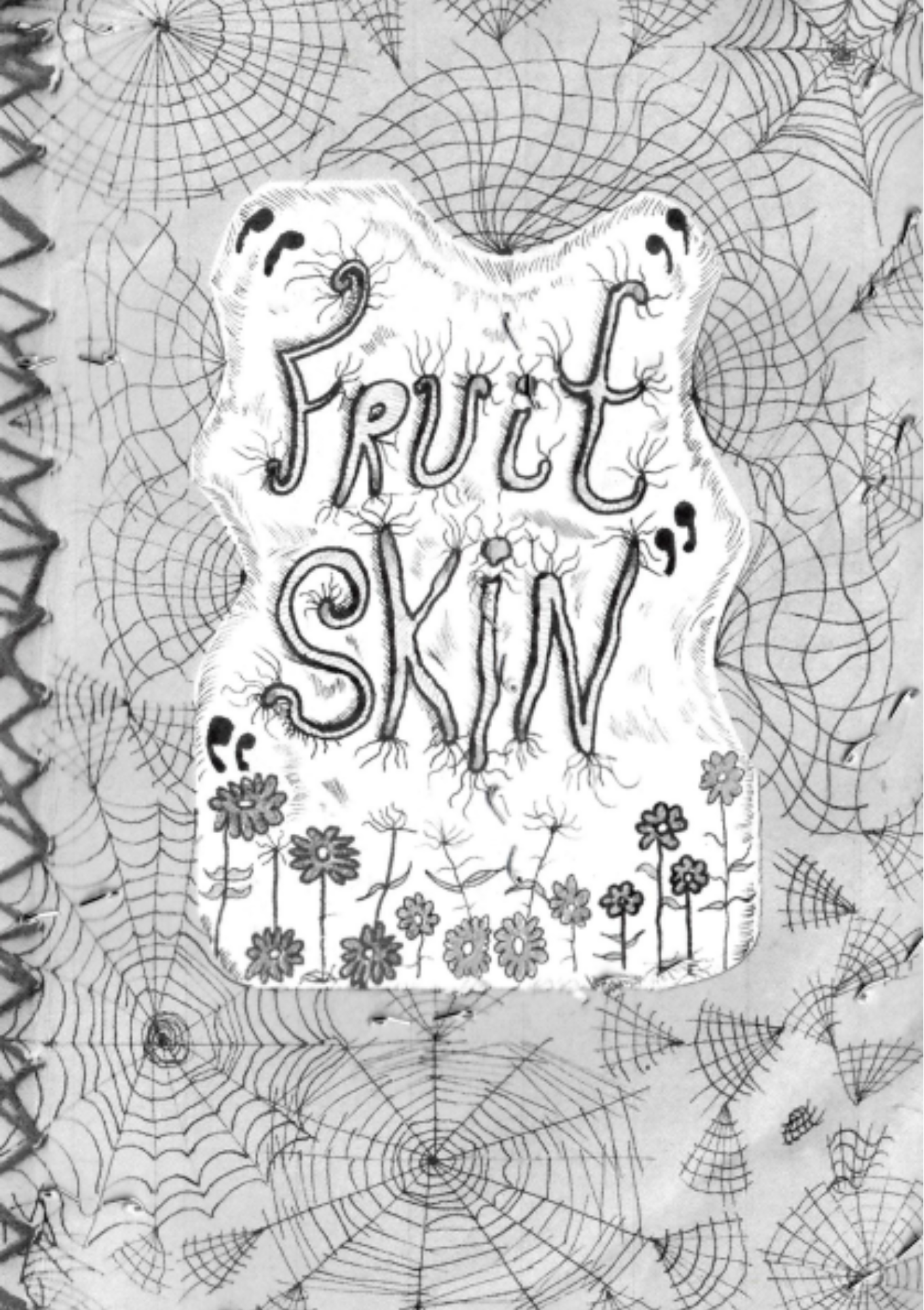 FRUIT SKIN by Barry Devery
