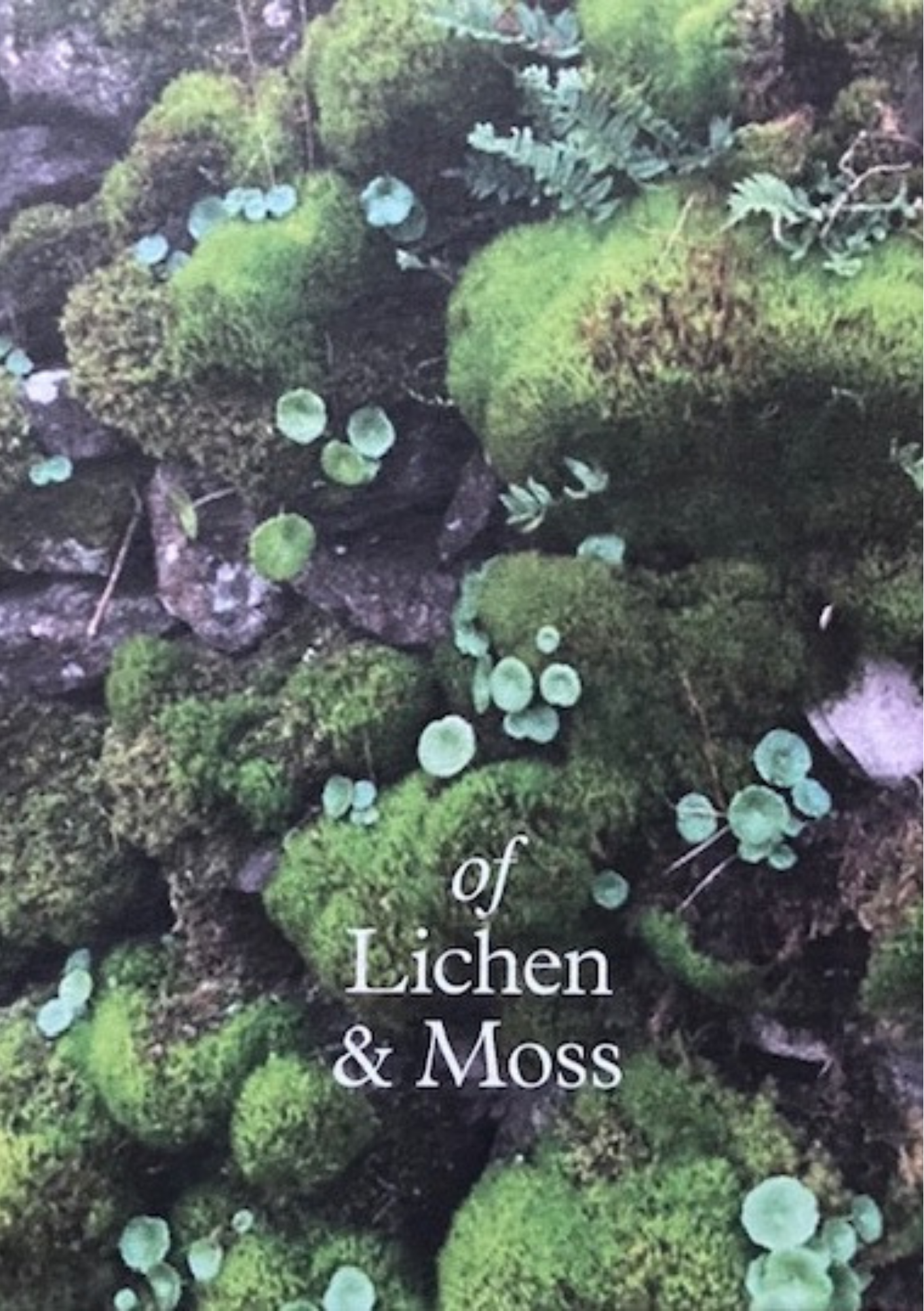 OF LICHEN & MOSS by Erica Van Horn and Kate Van Houten