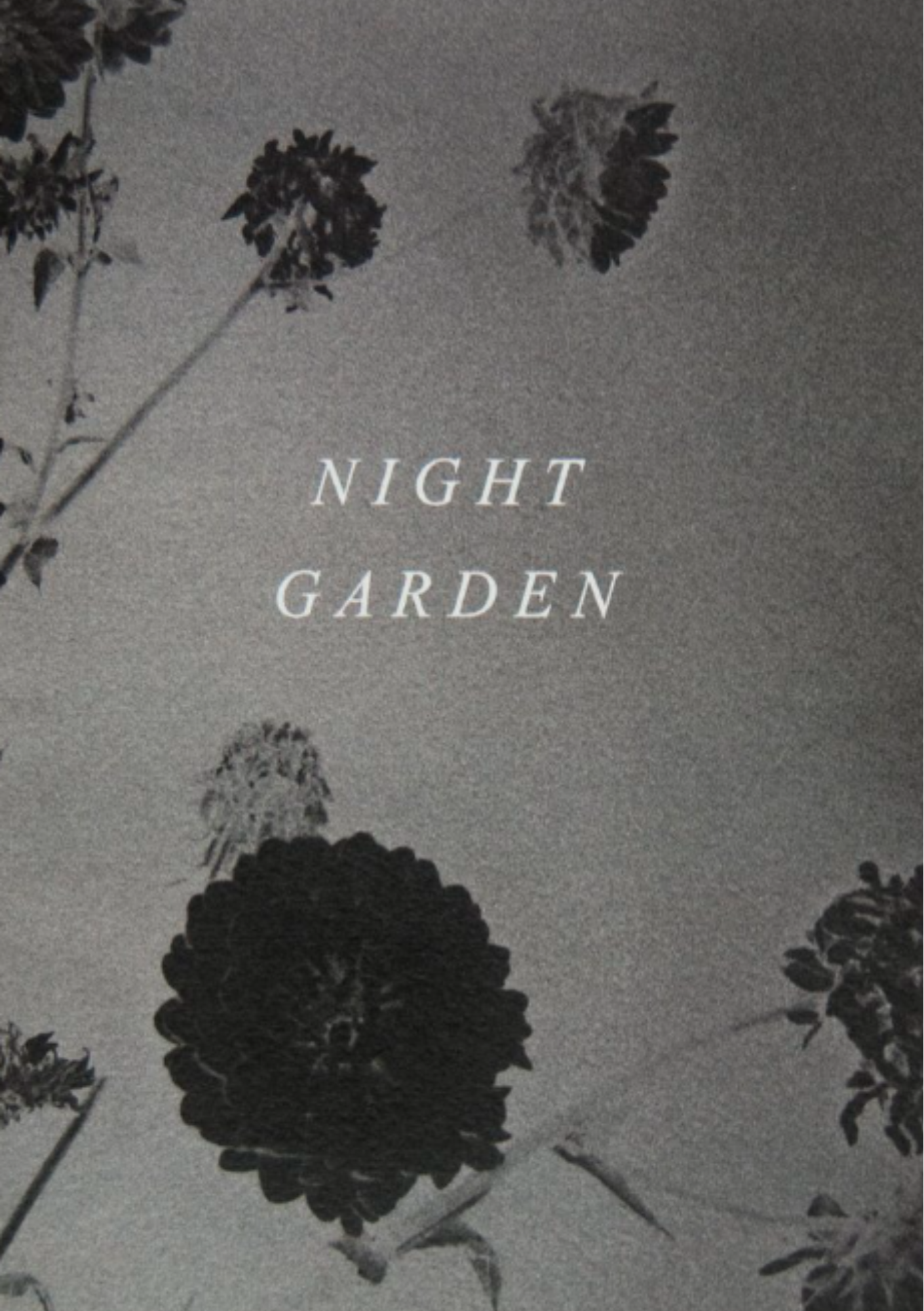 NIGHT GARDEN by Rebecca Cairns