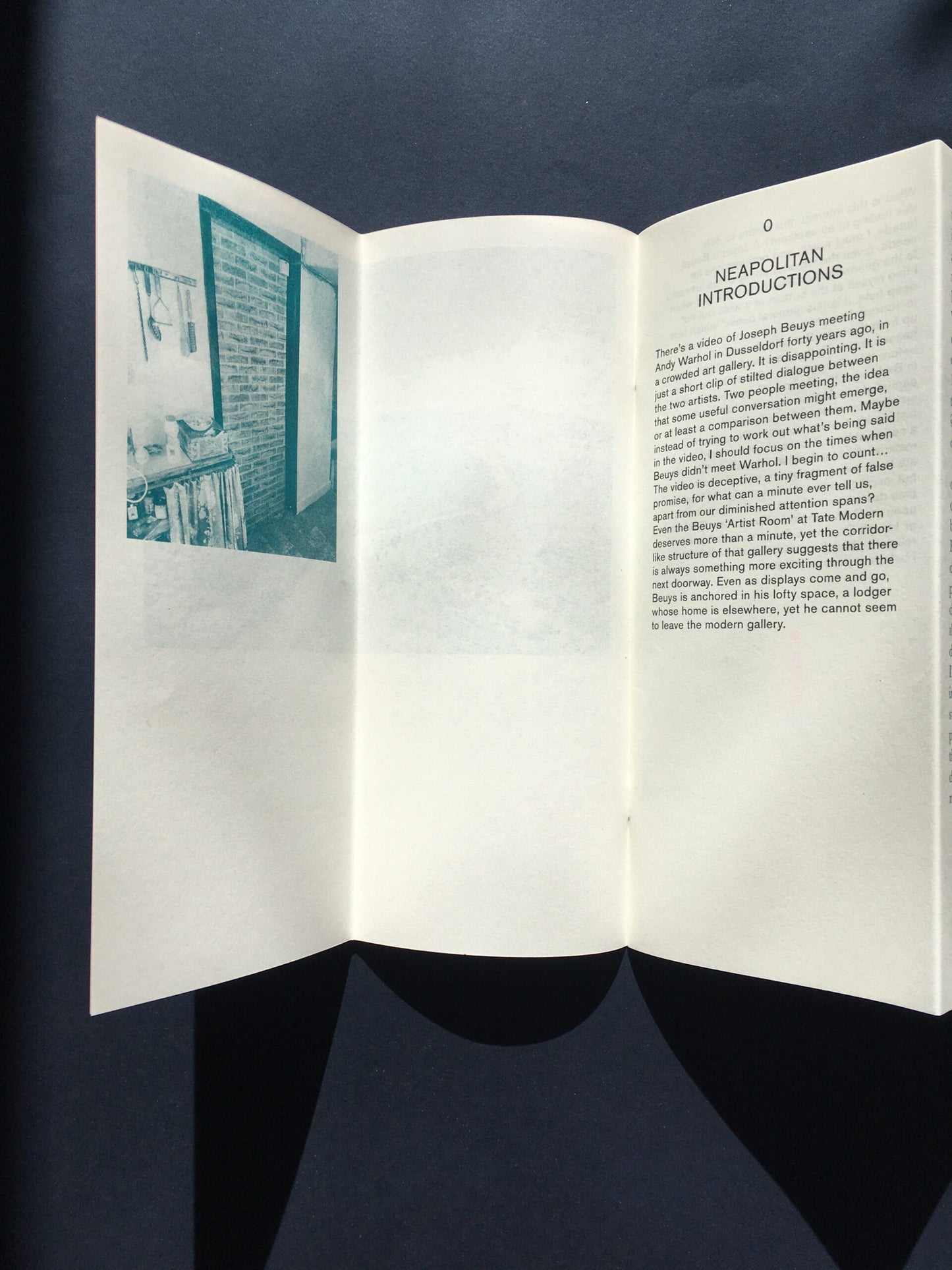 FOLDERS AND SEEKERS - JOSEPH BEUYS IN CONNEMARA by James Mansfield