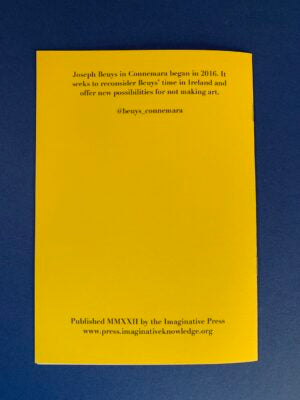 JOSPEH BEUYS NOT IN CONNEMARA by James Mansfield