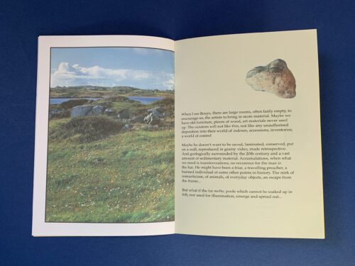 JOSPEH BEUYS NOT IN CONNEMARA by James Mansfield