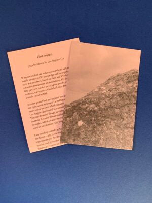JOSPEH BEUYS NOT IN CONNEMARA by James Mansfield