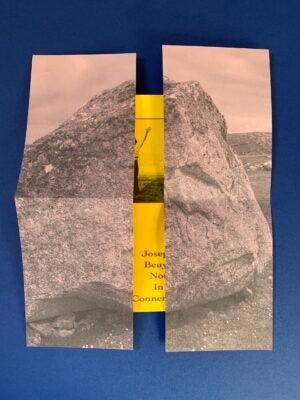 JOSPEH BEUYS NOT IN CONNEMARA by James Mansfield
