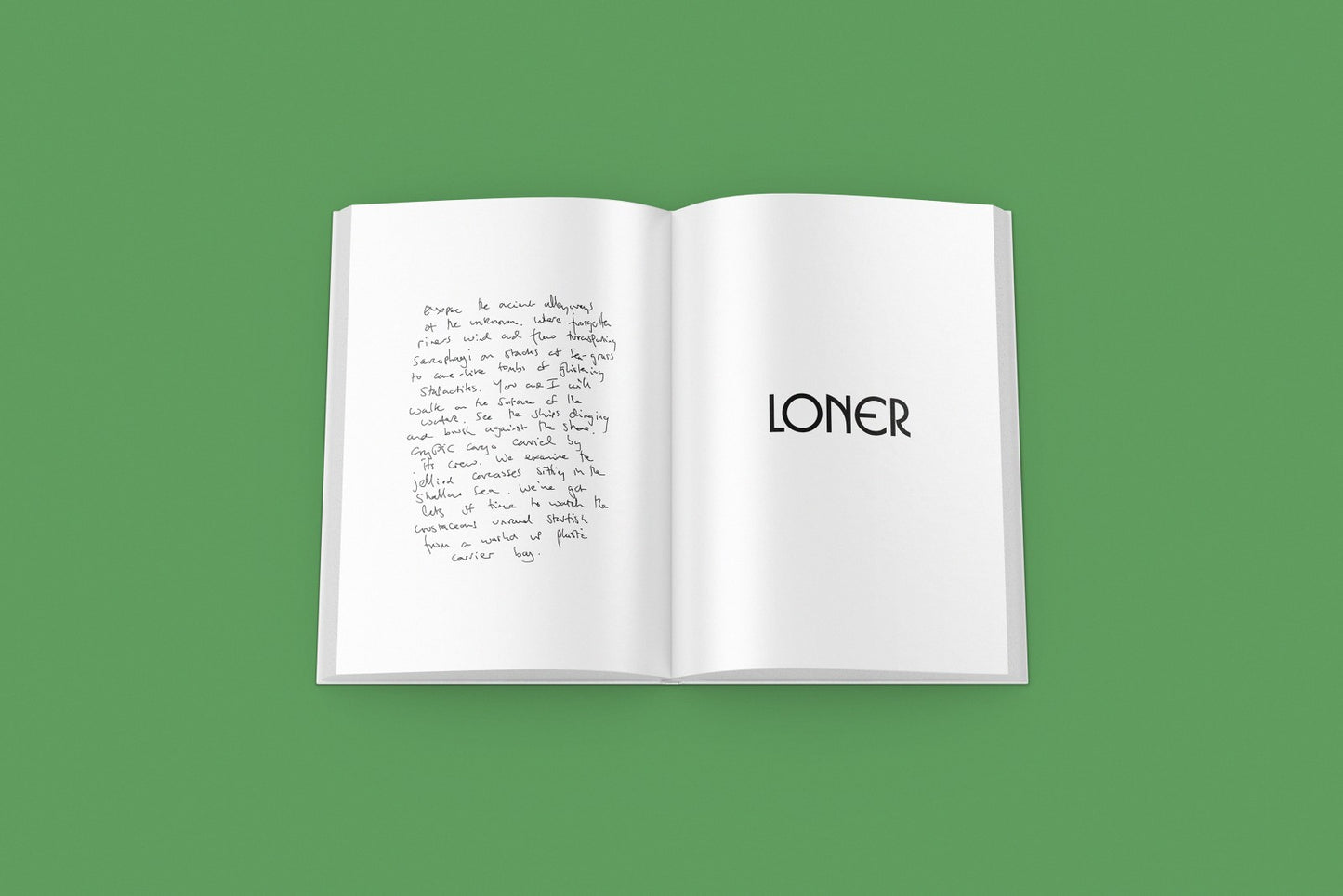 LONER by Richard Proffitt