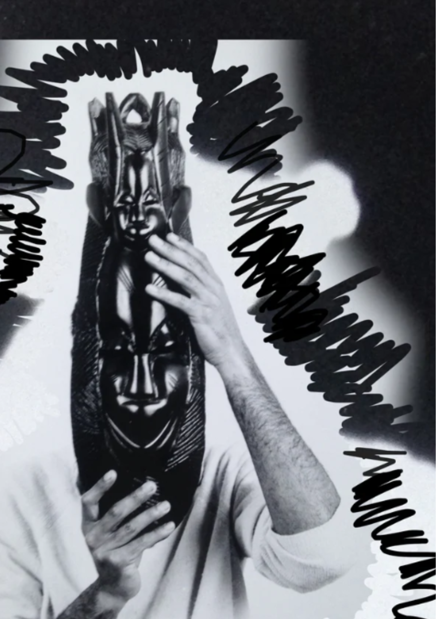 ZEBRA'S AFTERIMAGE by Alice and Stephen Rekab
