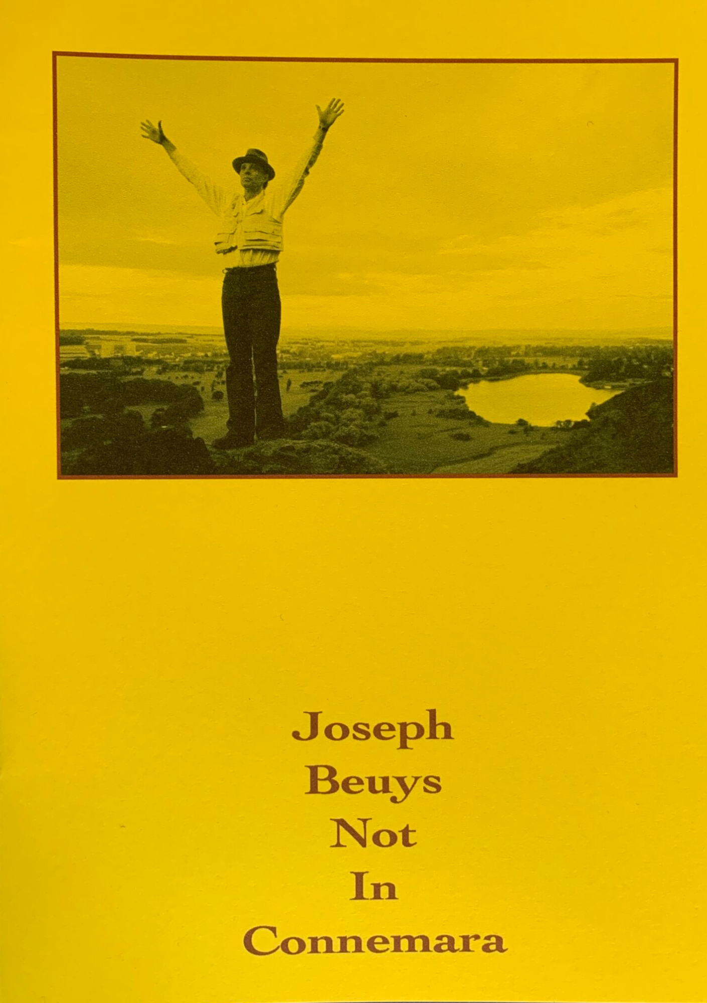 JOSPEH BEUYS NOT IN CONNEMARA by James Mansfield