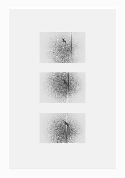 BIRD by Billy Kenrick