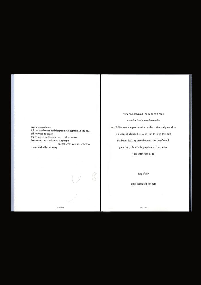 BEACON by Niamh Seana Meehan