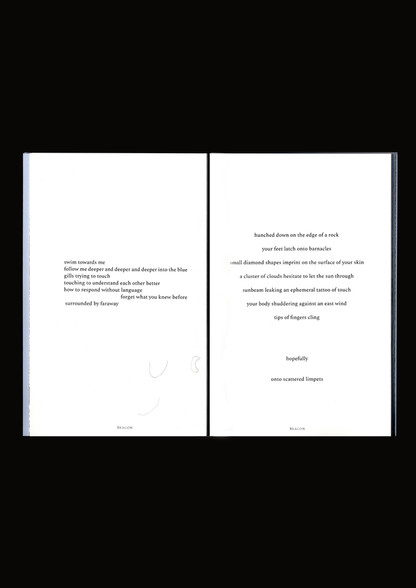 BEACON by Niamh Seana Meehan