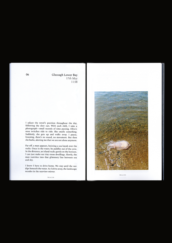 BEACON by Niamh Seana Meehan