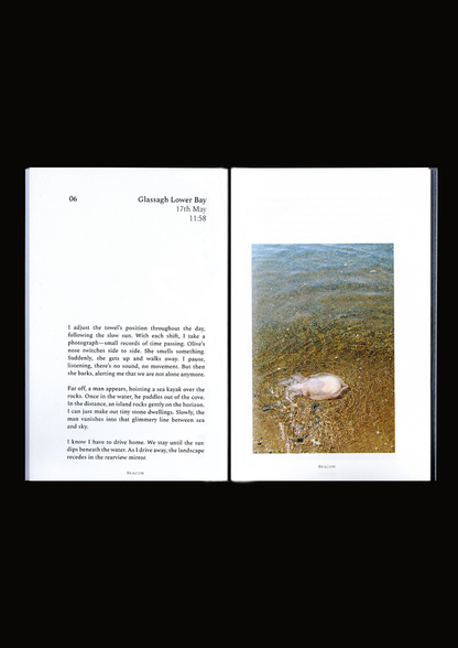 BEACON by Niamh Seana Meehan