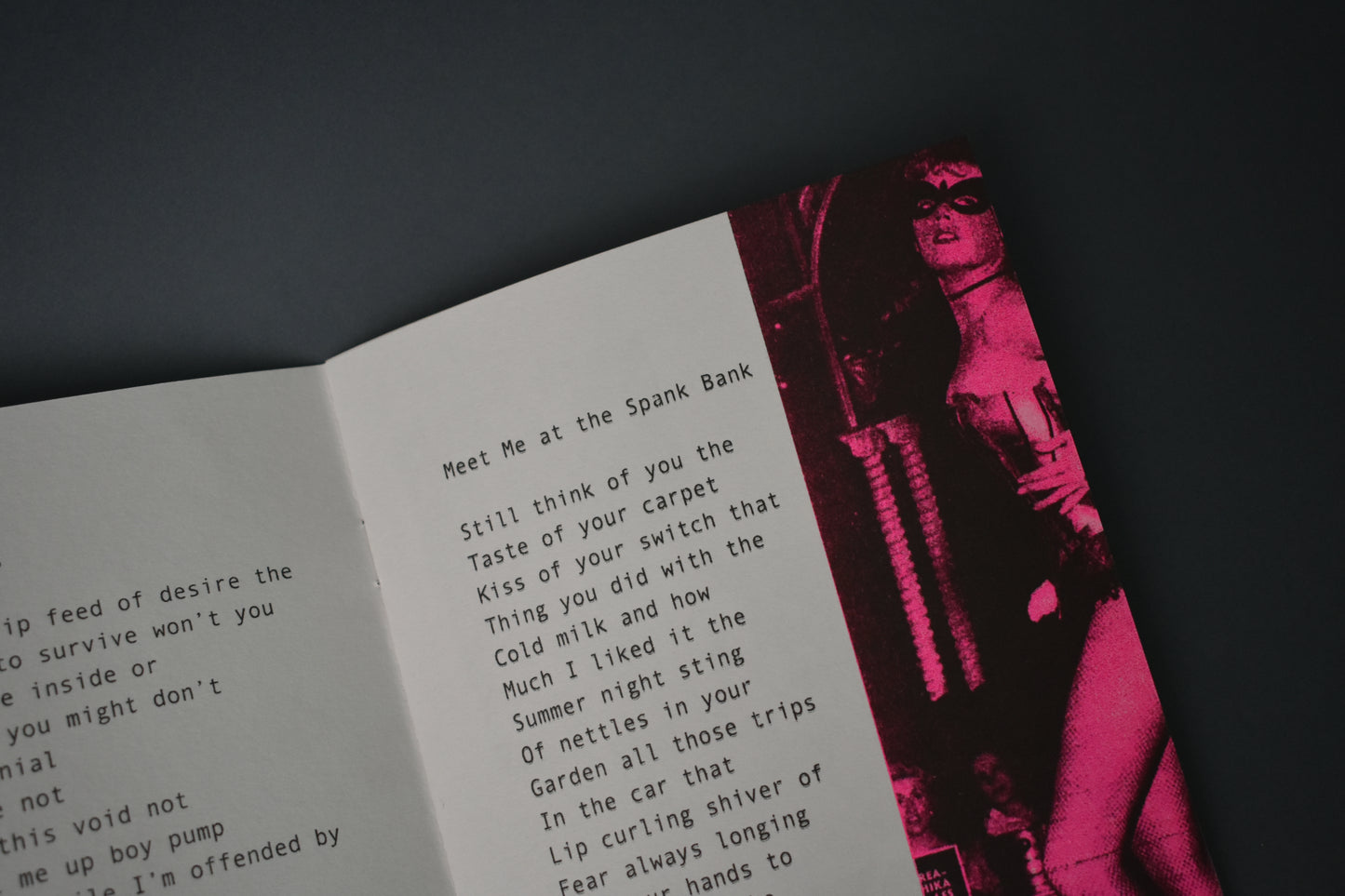 GIMP GIRL VOL 2: THE ASHES OF LOVE by Katy Finnegan