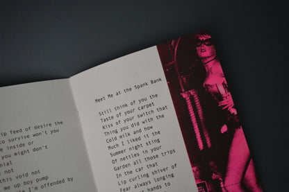 GIMP GIRL VOL 2: THE ASHES OF LOVE by Katy Finnegan