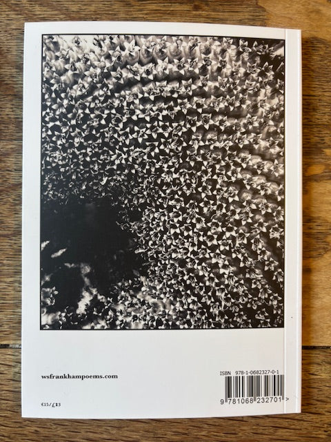 THE TWISTED DANCE OF SUNFLOWER SAM by W.S Frankham