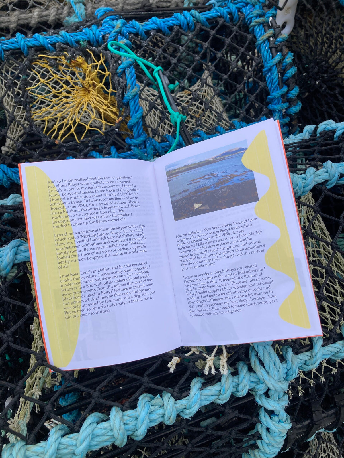 THE END OF JOSEPH BEUYS IN CONNEMARA? SENTENCES, PARAGRAPHS, VAGUE MEMORIES, MISUNDERSTANDINGS, FADED DREAMS by James Mansfield