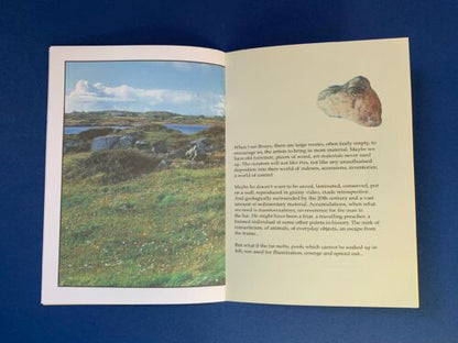 JOSPEH BEUYS NOT IN CONNEMARA by James Mansfield