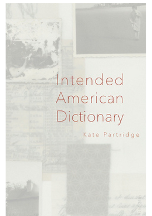 INTENDED AMERICAN DICTIONARY by Kate Partridge