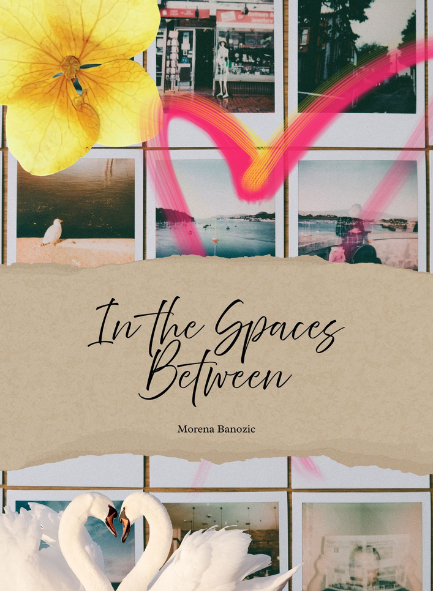 IN THE SPACES BETWEEN by Morena Banozic