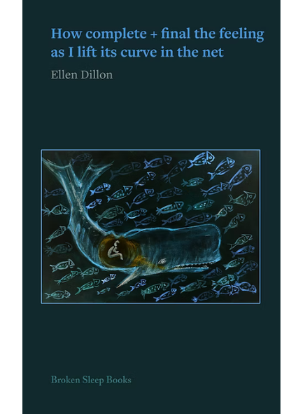 HOW COMPLETE + FINAL THE FEELING AS I LIFT ITS CURVE IN THE NET by Ellen Dillon