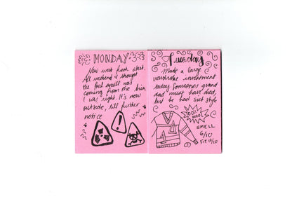 THE DIARY OF AN AVERAGE GIRL: WEEK II by Anna M. Pieper