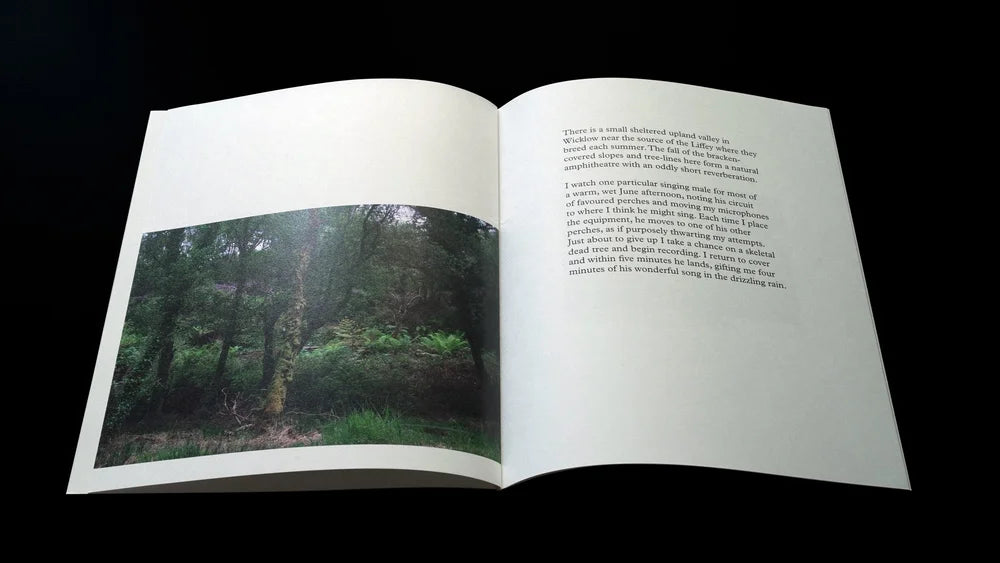 AFIELD by David Donohue