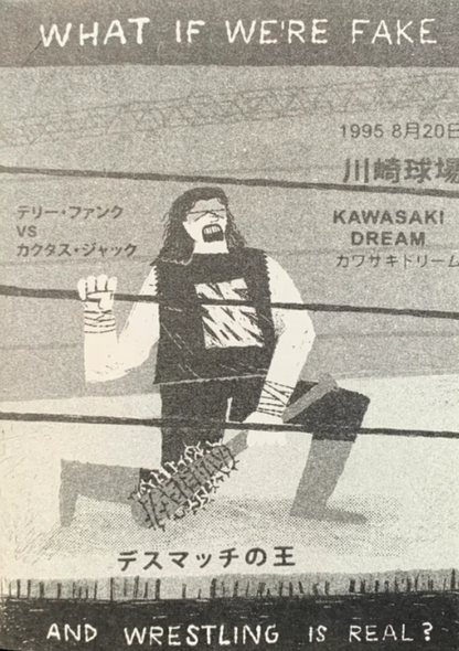 WHAT IF WE'RE FAKE AND WRESTLING IS REAL? by Conor Nolan