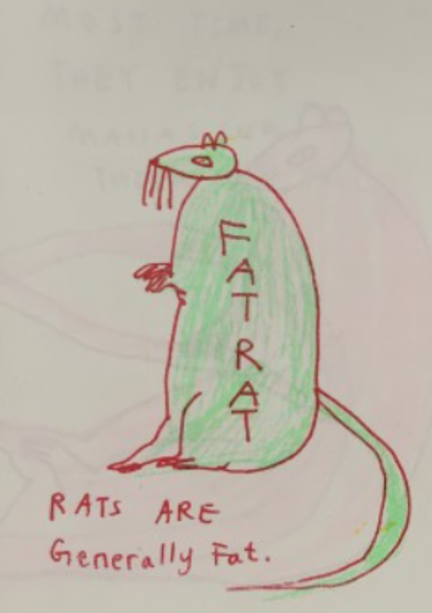 FAT RAT by An Gee Chan