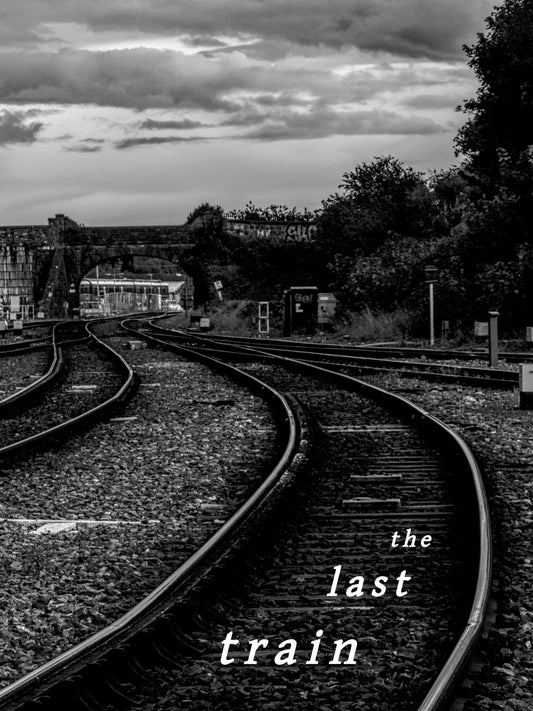 THE LAST TRAIN by A.L Sweeney