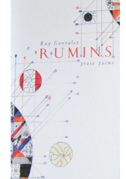 RUMINS: PROSE POEMS by Ray Gonzalez
